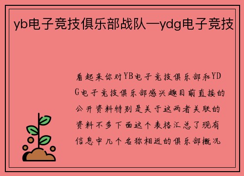 yb电子竞技俱乐部战队—ydg电子竞技